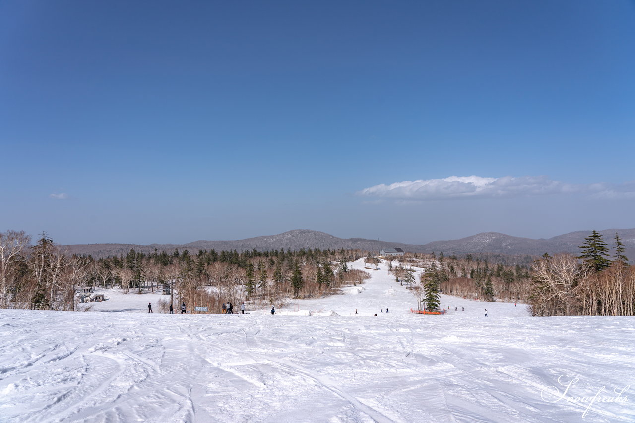 札幌国際スキー場　2020-2021ウィンターシーズン営業最後の週末。煌めく陽光を浴びながら、今季最後の撮影へ。SNOW Freaks 今季最後のレポートです(^^)/